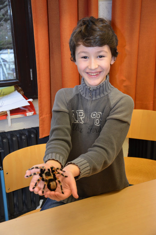 Biologe Stephan Loksa und seine Spinnen