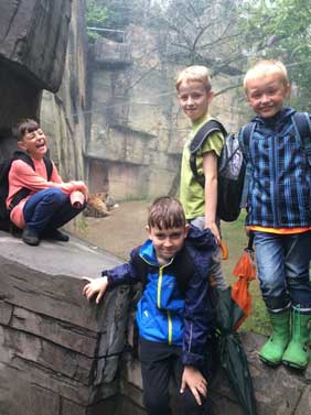Am Mittwoch, den 05.07.2017 stand der erste große Ausflug der zweiten Schuljahre an: Ein Besuch
                  im Wuppertaler Zoo, der sprichwörtlich drohte ins Wasser zu fallen.